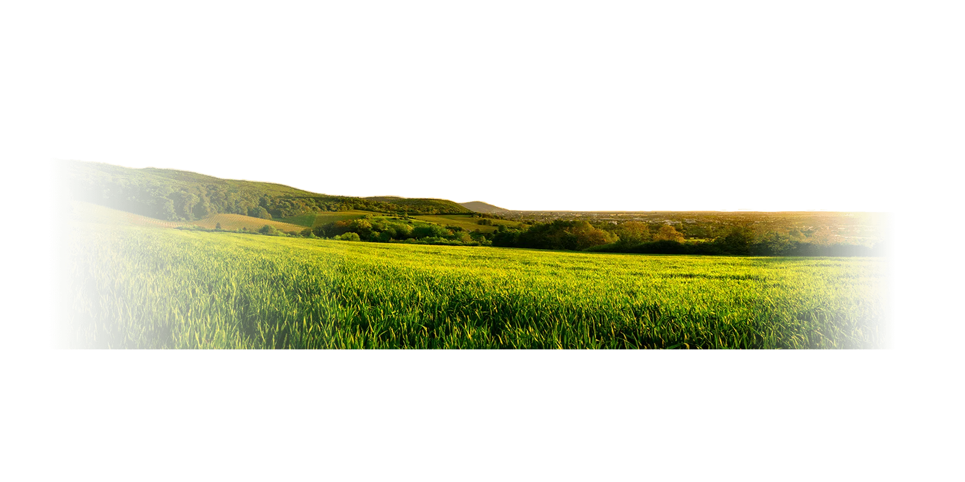 Ecosystem Grassland Land lot Real property, zincir, grass, crop, tree png